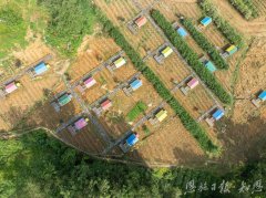 一枚蛋 恩施市太阳河乡小鸡孵出大财产